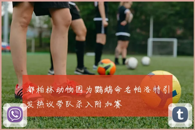 都柏林动物园为鹦鹉命名帕洛特引发热议带队杀入附加赛