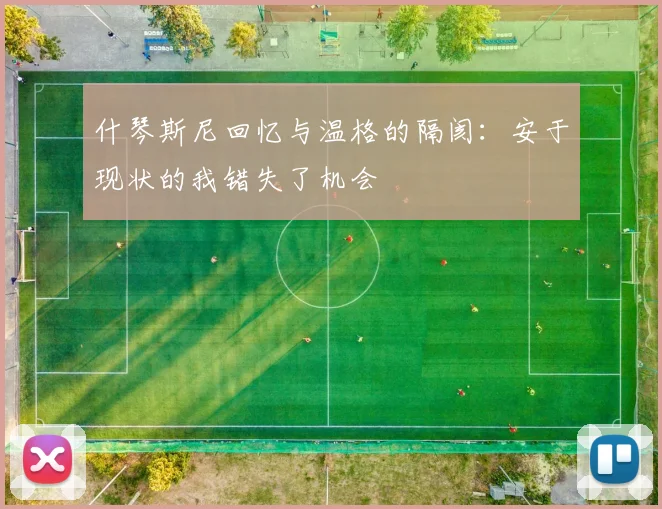 什琴斯尼回忆与温格的隔阂：安于现状的我错失了机会